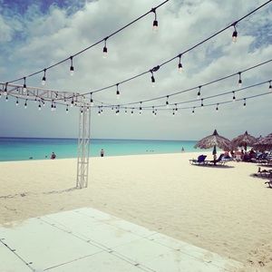 Meet your Posher, Nellie